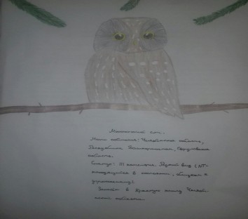 Тимуршина Лия Тимуршина Лия